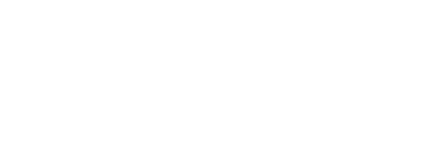 PGH Geoservice Logo White